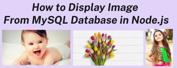 display image from mysql database in node.js